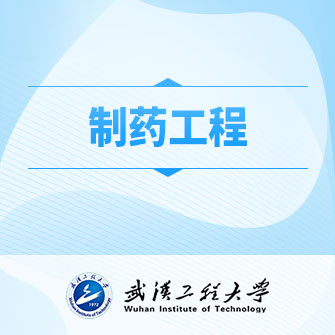 ˎ
