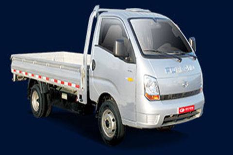 時代康瑞KQ1兩用燃料車