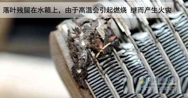 卡車保養(yǎng)