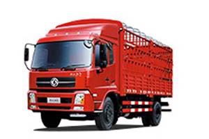 東風(fēng)天錦 農(nóng)副散雜運輸系列 東風(fēng)180馬力 4x2載貨車