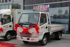 凱馬 金運(yùn)卡 3.31米單排欄板輕卡(汽油)