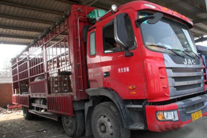 發(fā)現(xiàn)信賴--格爾發(fā)載貨車的品質(zhì)與服務(wù)，棒棒噠！