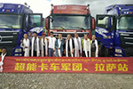 發(fā)現(xiàn)信賴：趙德斌和他2000多兄弟的“超能卡車軍團(tuán)”