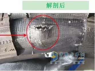 解剖輪胎
