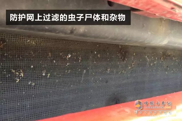冷凝器前端的空調防護網上過濾的蟲子尸體和雜物