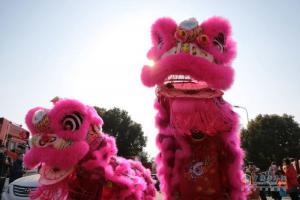 年，豪沃、豪瀚送你回家！
