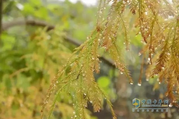 秋季的雨水、暗霜、露水會(huì)讓路面很滑