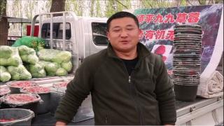 福田祥菱V1用戶-馬元超