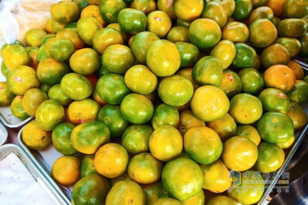 福田祥菱楊姐一年四季賣各類水果，有蜜桔，棗子，葡萄，哈密瓜，蘋果等等