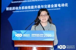 2020中國(guó)電動(dòng)汽車百人會(huì)，照亮新能源汽車前行的路