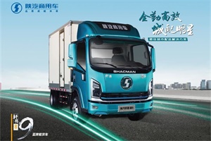 軒德·翼9載貨車，這才是理想中的城配運(yùn)輸車！