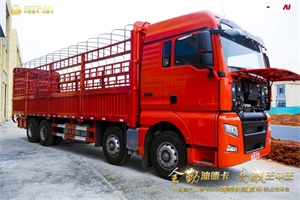 吸引138.43萬(wàn)人觀看  重汽汕德卡8×4濰柴機(jī)載貨車就是這么厲害！
