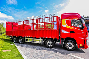 紅巖杰獅H6載貨車，可靠經(jīng)濟(jì)動(dòng)力，能省，更會(huì)賺!