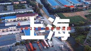 馭鑒康明斯大馬力國(guó)六發(fā)動(dòng)機(jī)的澎湃  成都渝豐物流園發(fā)車！