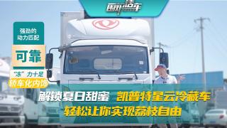解鎖夏日甜蜜 凱普特星云冷藏車輕松讓你實現荔枝自由