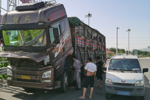 運魚車拋錨，解放滕州服務站38℃高溫3小時緊急救援