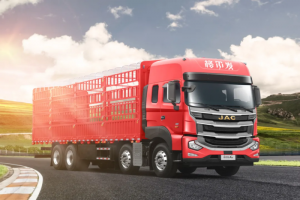 大“鮮”身手！江淮格爾發(fā)8×4載貨車助力綠通運輸