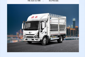 藍(lán)牌輕卡新選擇，領(lǐng)航大G-LNG氣體機(jī)輕卡，能省會(huì)賺，創(chuàng)富給力！
