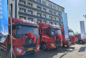 一體化服務(wù)助力高效運輸 陜汽德御Q300載貨車交付