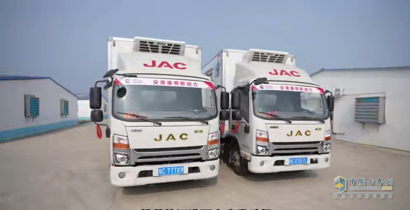 鮮活蝦苗運(yùn)輸 廣東林威的錦囊妙計(jì)是“帥鈴冰博士”！
