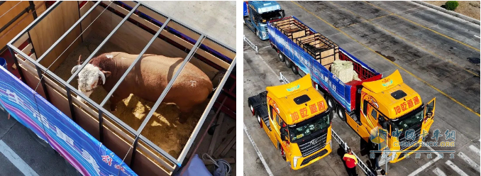 解放卡車：國(guó)車送國(guó)禮，犇！