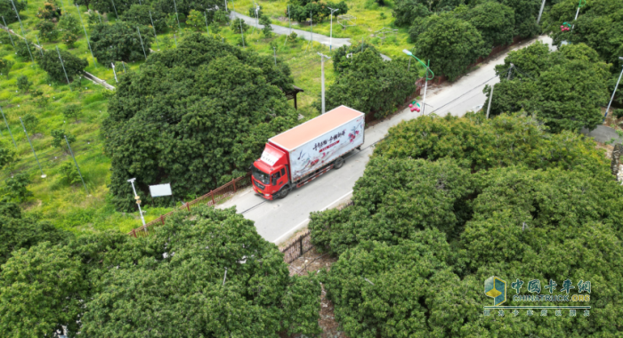 最大規(guī)模荔枝助銷！京東物流聯(lián)合多方打造全國(guó)荔枝產(chǎn)銷生態(tài)圈