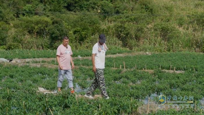 福建南平江師傅：“閩北第一椒”供不應(yīng)求，駿鈴V8跑得快行得穩(wěn)，5年67萬公里像新車