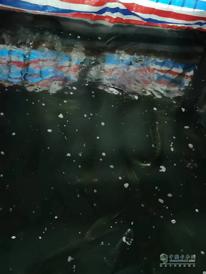 運(yùn)魚車拋錨，解放滕州服務(wù)站38℃高溫3小時(shí)緊急救援