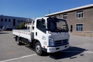 沈陽金杯 運盈 4.5T 4.2米單排純電動輕卡載貨車(SY1046DEV2S)