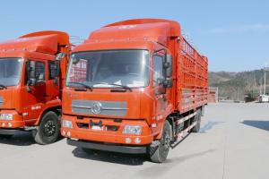 東風(fēng)商用車 天錦中卡 180馬力 4X2 6.75米 國五倉柵式載貨車(DFH5180CCYBX3JV)
