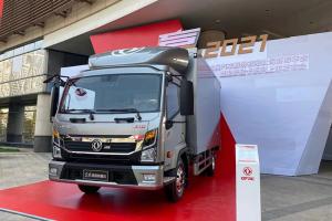 東風(fēng) 凱普特-星云L 163馬力 4×2 國(guó)六 載貨車ZD30豪華版