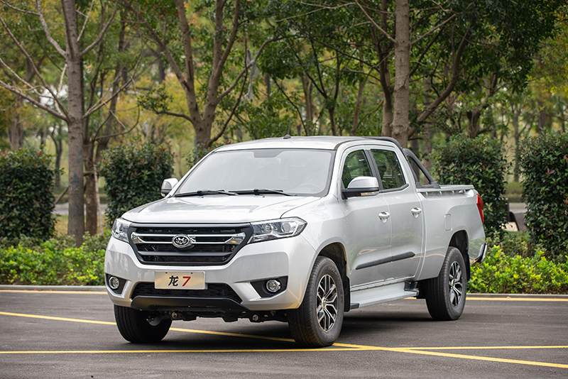 新龍馬汽車 龍7 162馬力 4×2 國六 雙排載貨車 精英版（FJ1030BEE1）