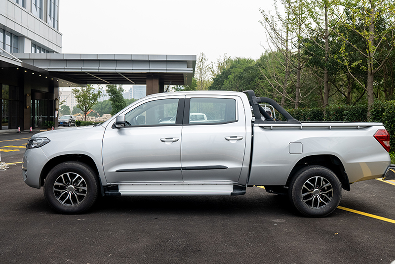 新龍馬汽車 龍7 162馬力 4×2 國六 雙排載貨車 精英版（FJ1030BEE1）