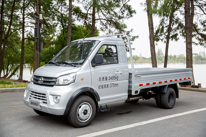 新龍馬汽車 啟騰N60 116馬力 4×2 國(guó)六 欄板載貨車 標(biāo)準(zhǔn)型（FJ1030BAC2）