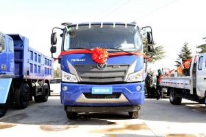 福田瑞沃 大金剛ES5 160馬力 4X2 3.75米 國(guó)六 自卸車(BJ3114DFJDA-03)