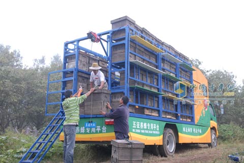 五征奧馳用戶搬運(yùn)蜂箱
